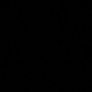 Meet your Posher, Deondre